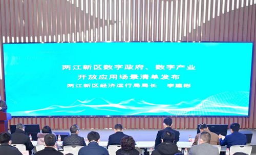 廣域銘島榮登重慶兩江新區(qū)軟件和信息服務(wù)業(yè)企業(yè)能力清單，彰顯區(qū)域信息咨詢新動(dòng)能